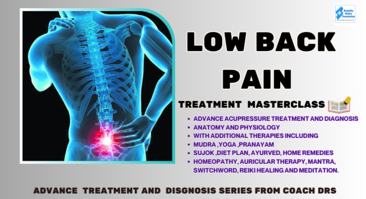 LOWER BACK PAIN ADVANCE ACUPRESSURE DIAGNOSIS AND TREATMENT MASTERLASS cover
