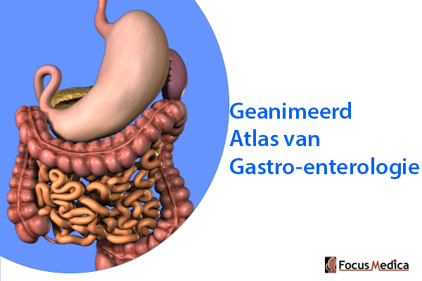 Geanimeerde Atlas van Gastro-enterologie cover
