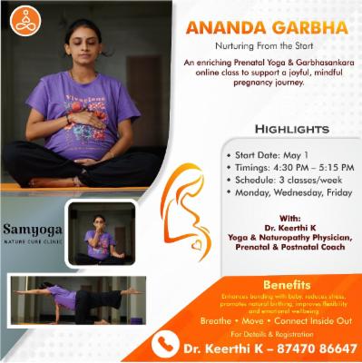 Ananda Garbha - The Joyful Pregnancy cover