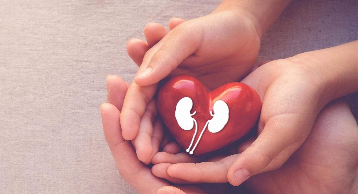 DM INI SS Peds nephro review cover