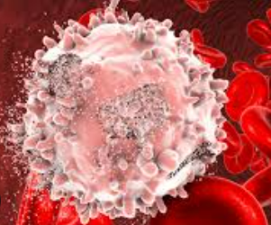 INI SS Peds Hemato oncology cover