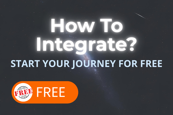 How To Integrate? cover