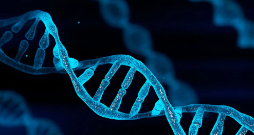 Genetics and Bioinformatics for clinician cover