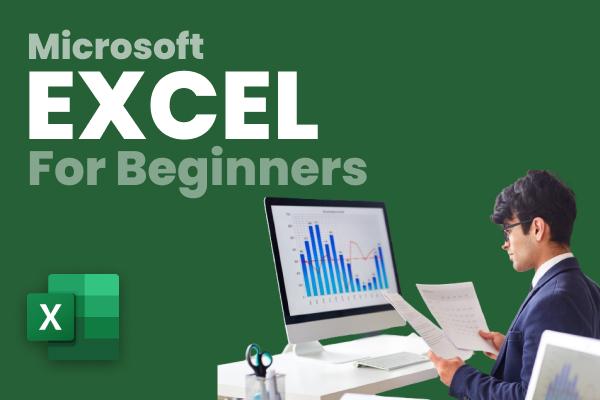 Microsoft Excel For Beginners cover