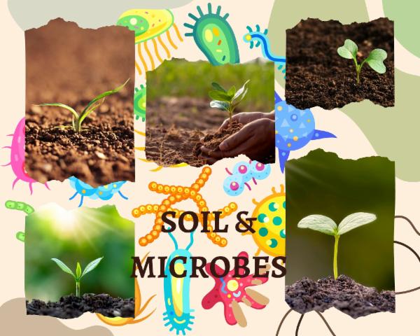 FSC Semester 2 - Managing Farms - Soils & Microbes - Sessions -29,30,31&32 cover