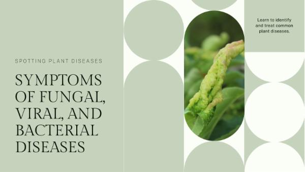 FSC Semester 2 - Managing Farms - Symptoms of Fungal, Bacterial and Viral Diseases in Plants  cover