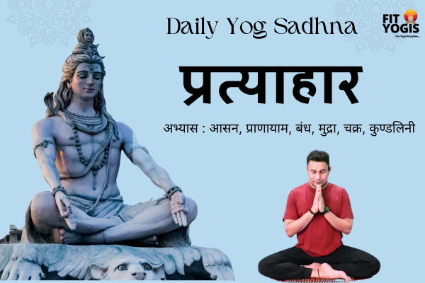 "Daily Yoga Sadhana: Practice of Pratyahara, Asana, Pranayama, Bandha, Mudra, Chakra, Kundalini" cover
