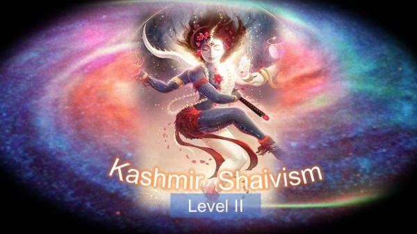 Kashmir Shaivism and ADP - Level 2 cover