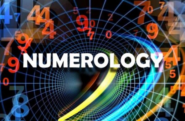 Professional Numerology cover