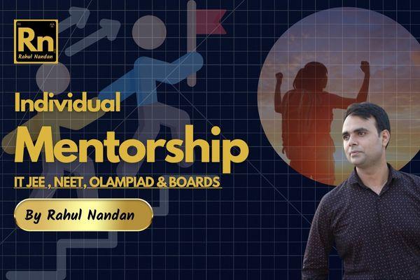 INDIVIDUALMENTORSHIP