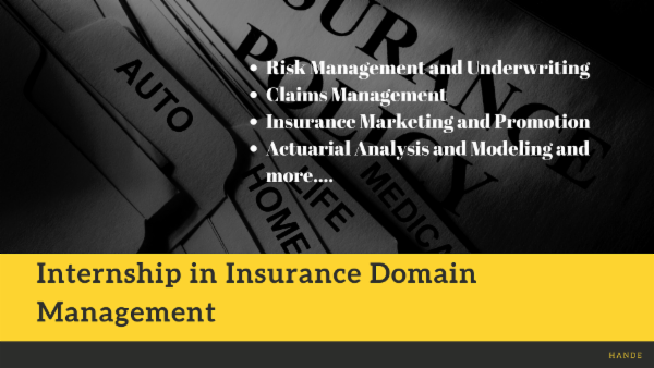 Internship in Insurance Operation and Domain Management cover