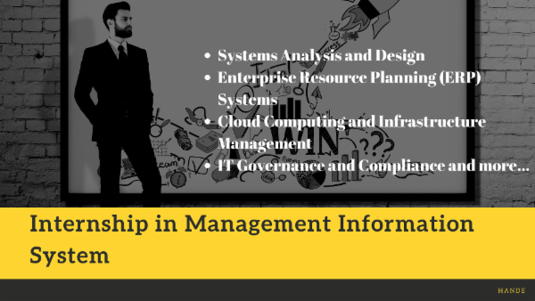 Internship in Management Information System cover