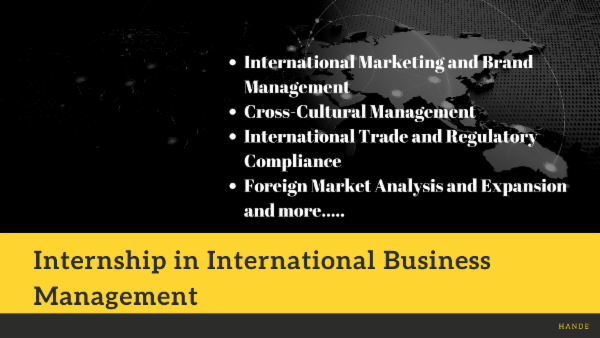 Internship in International Business Management cover