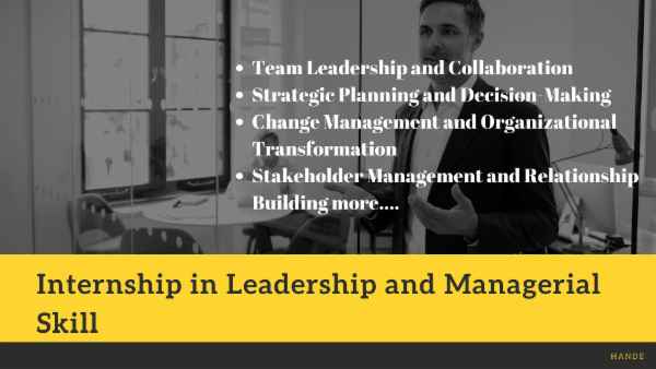Internship in Leadership and Managerial Skill cover