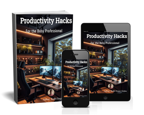 eBOOK: Productivity Hacks For the Busy Professional cover