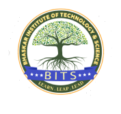 BITS Pre Assessment cover