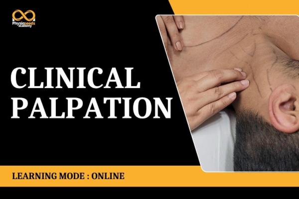 Clinical Palpation