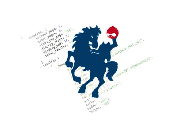 Drupal API Clients cover