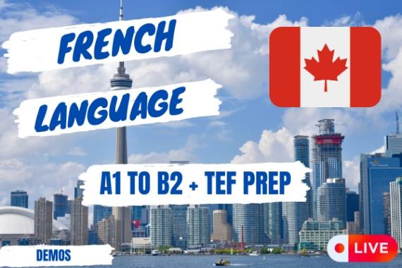 Complete Guide to French & TEF/TCF Success cover