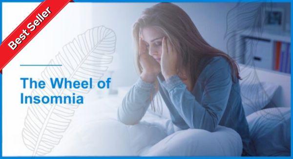 The Wheel of Insomnia cover