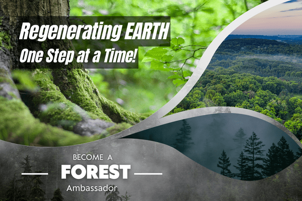 India's Young Forest Ambassador Challenge cover