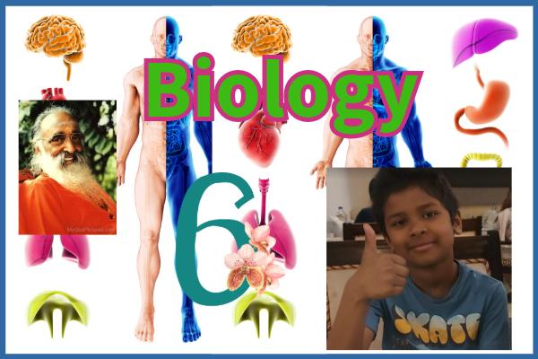 Grade 6 - ICSE || Biology || cover