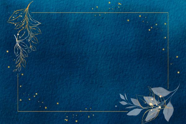 PedalPro Blueprint cover