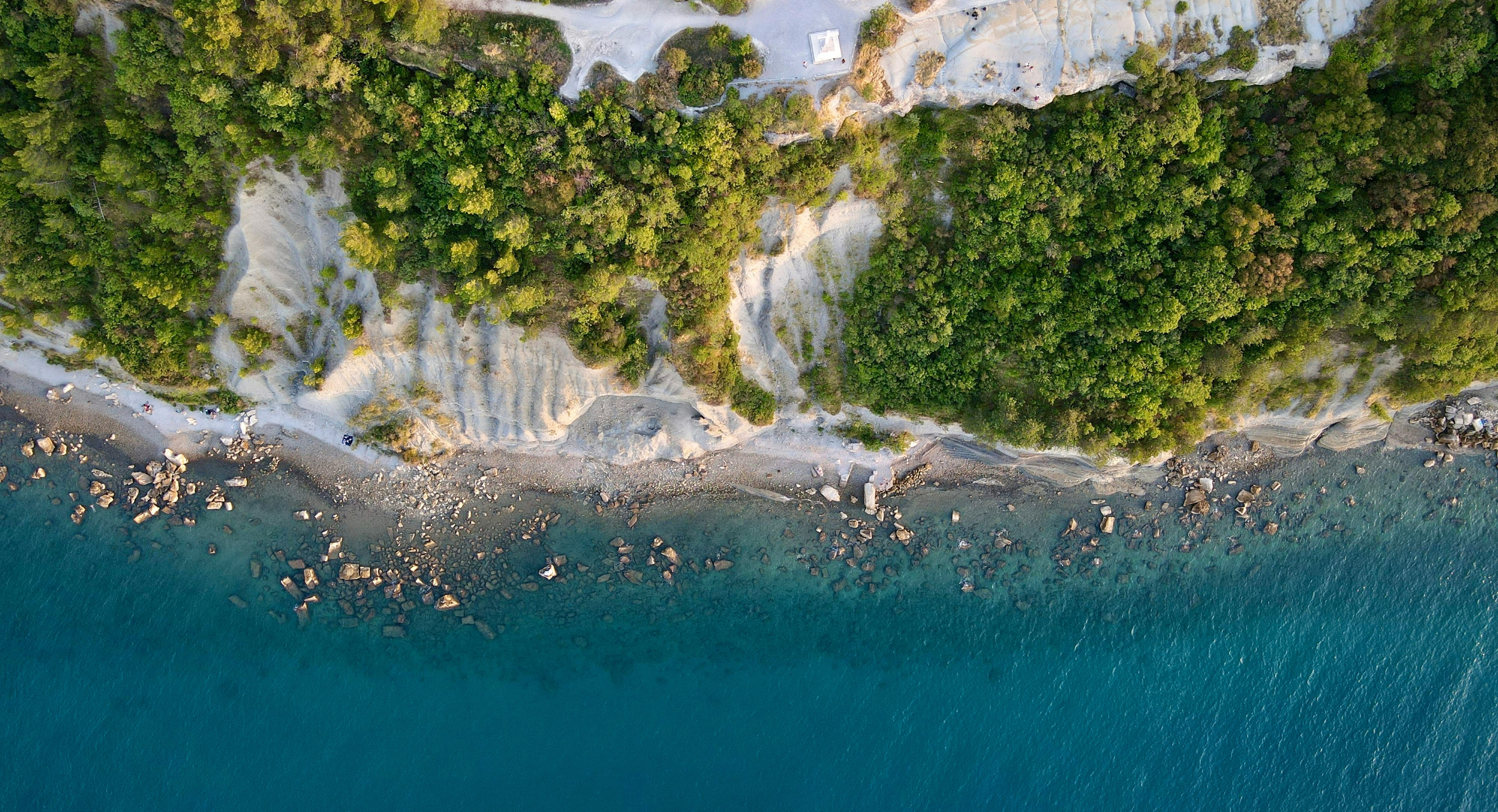 Elevate your skills with the ultimate test-taking techniques and strategies! cover