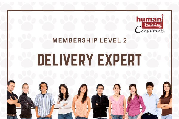 LEVEL 02: DELIVERY EXPERT cover