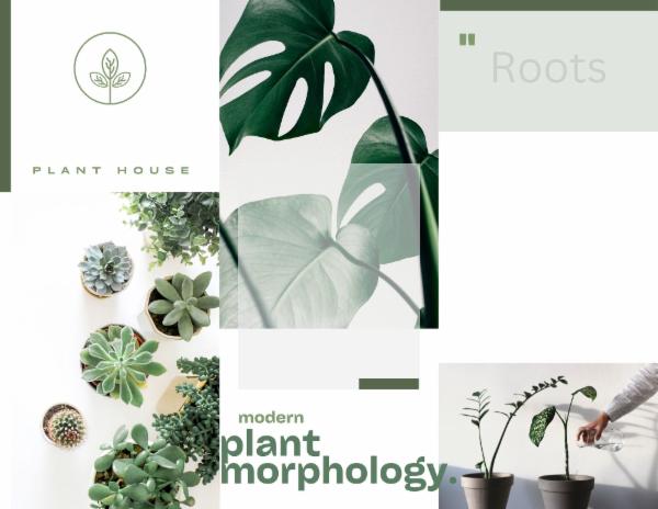 FSC semester 2 - Managing Farms - Managing Crops - Plant morphology 1,2&3 cover