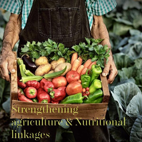 FSC semester2_Food systems_Session 32&33_research methods_session 30&31 cover