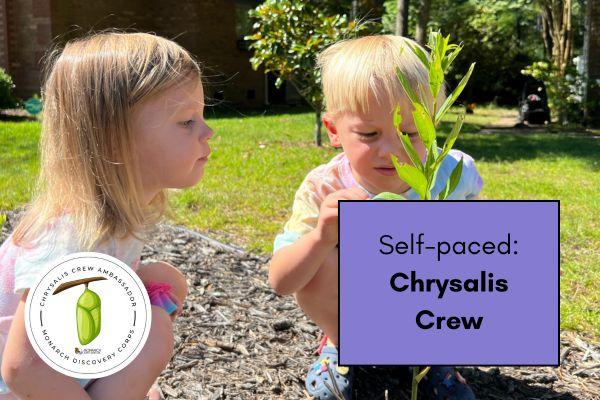 Chrysalis Crew: Monarch Discovery Corps Course cover