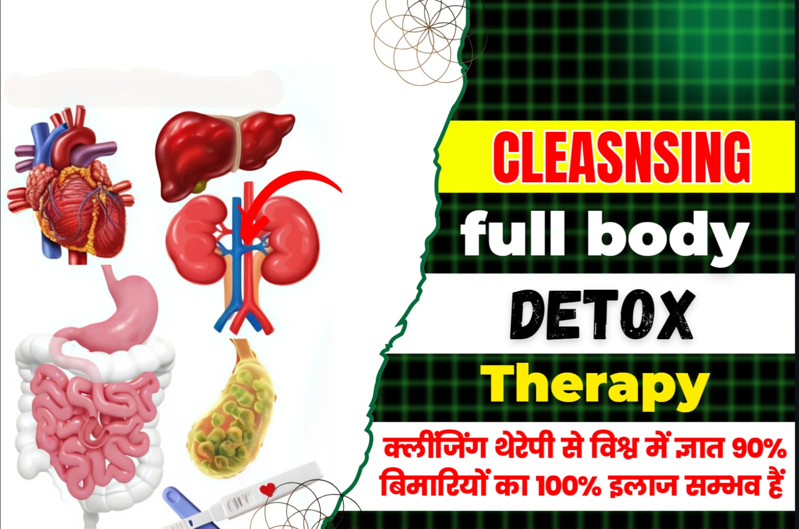 Cleansing Therapy Full Body Detox cover
