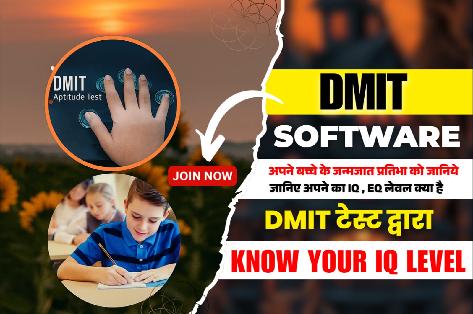 DMIT Software cover