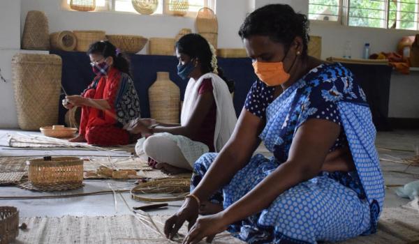 Cohort 6 - Regenearth cover