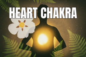 Heart Chakra cover