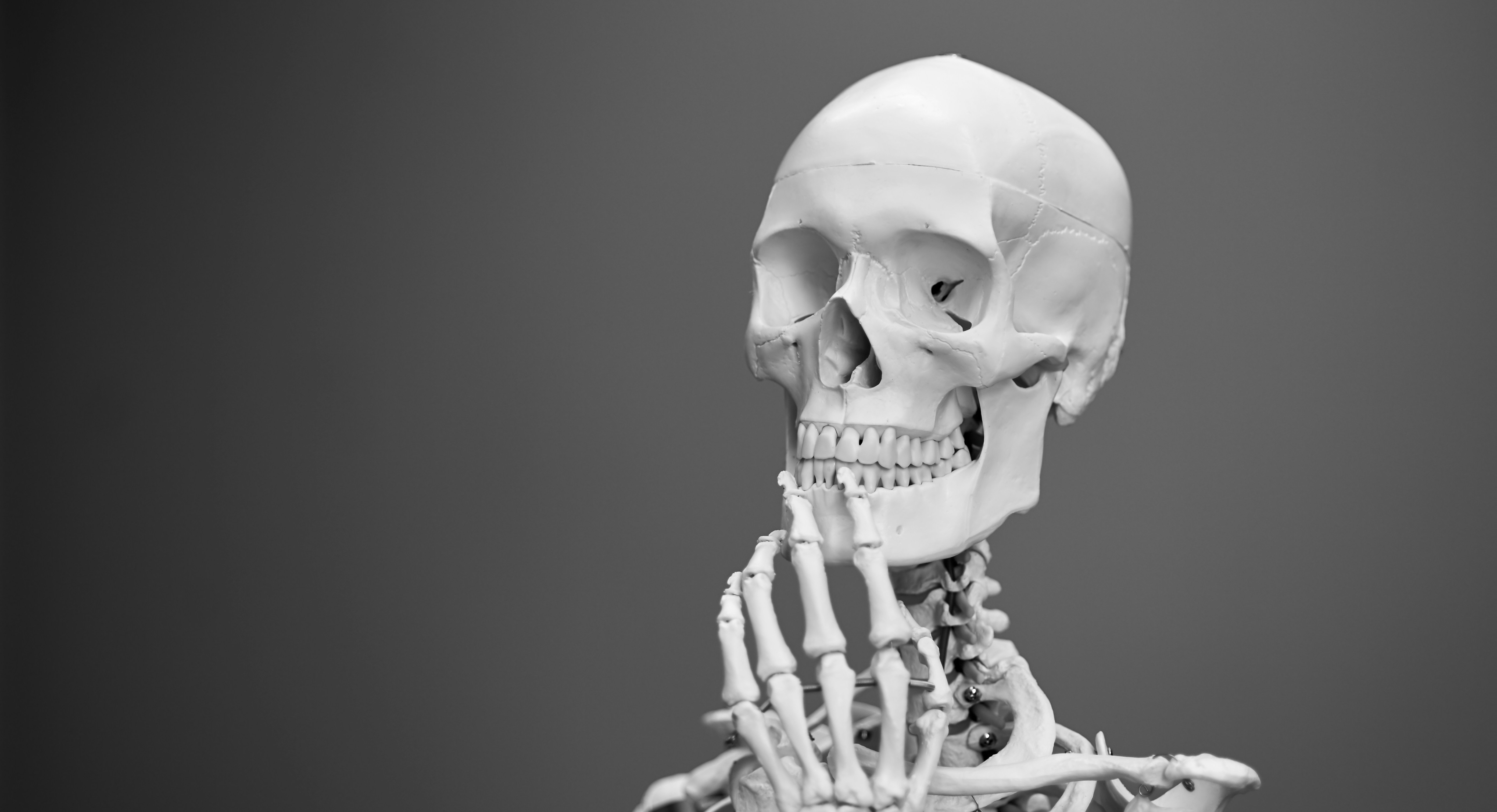 ANATOMY - EXAM POINT OF VIEW FOR BHMS STUDENTS cover