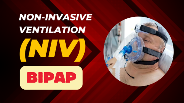 NIV Course cover