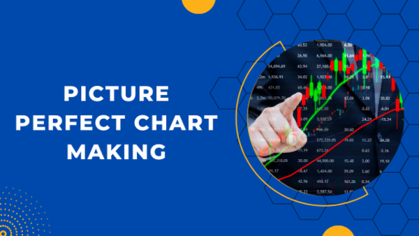 Picture Perfect Chart Making cover