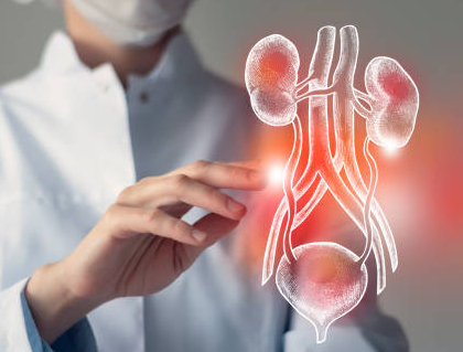 INI SS Urology  cover