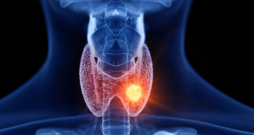 INI SS Endocrinology  cover