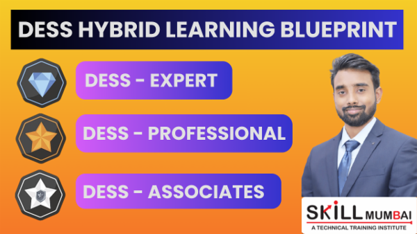 DESS HYBRID LEARNING BLUEPRINT 1.0 cover