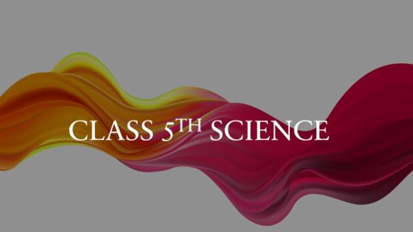 CLASS 5 SCIENCE SN cover