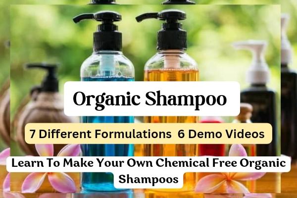 Shampoo Making Course