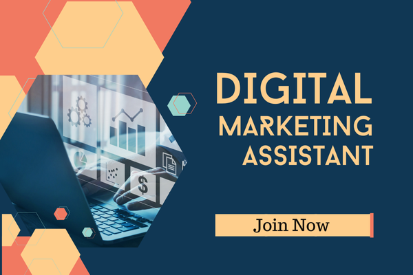 Digital Marketing Assistant cover