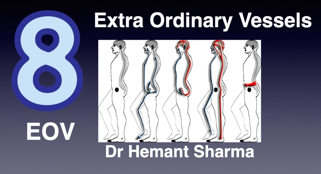 8 EOV - Extra Ordinary Vessel Level one cover