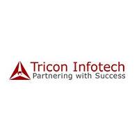 06.2024Job - Tricon Infotech Private Limited cover