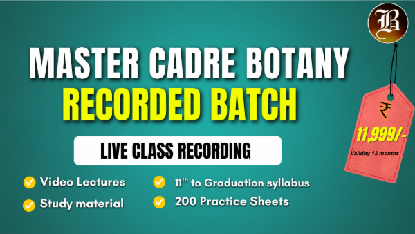 MASTER CADRE BOTANY RECORDED BATCH OF LIVE CLASS cover