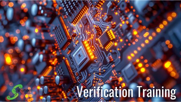 Verification Training cover