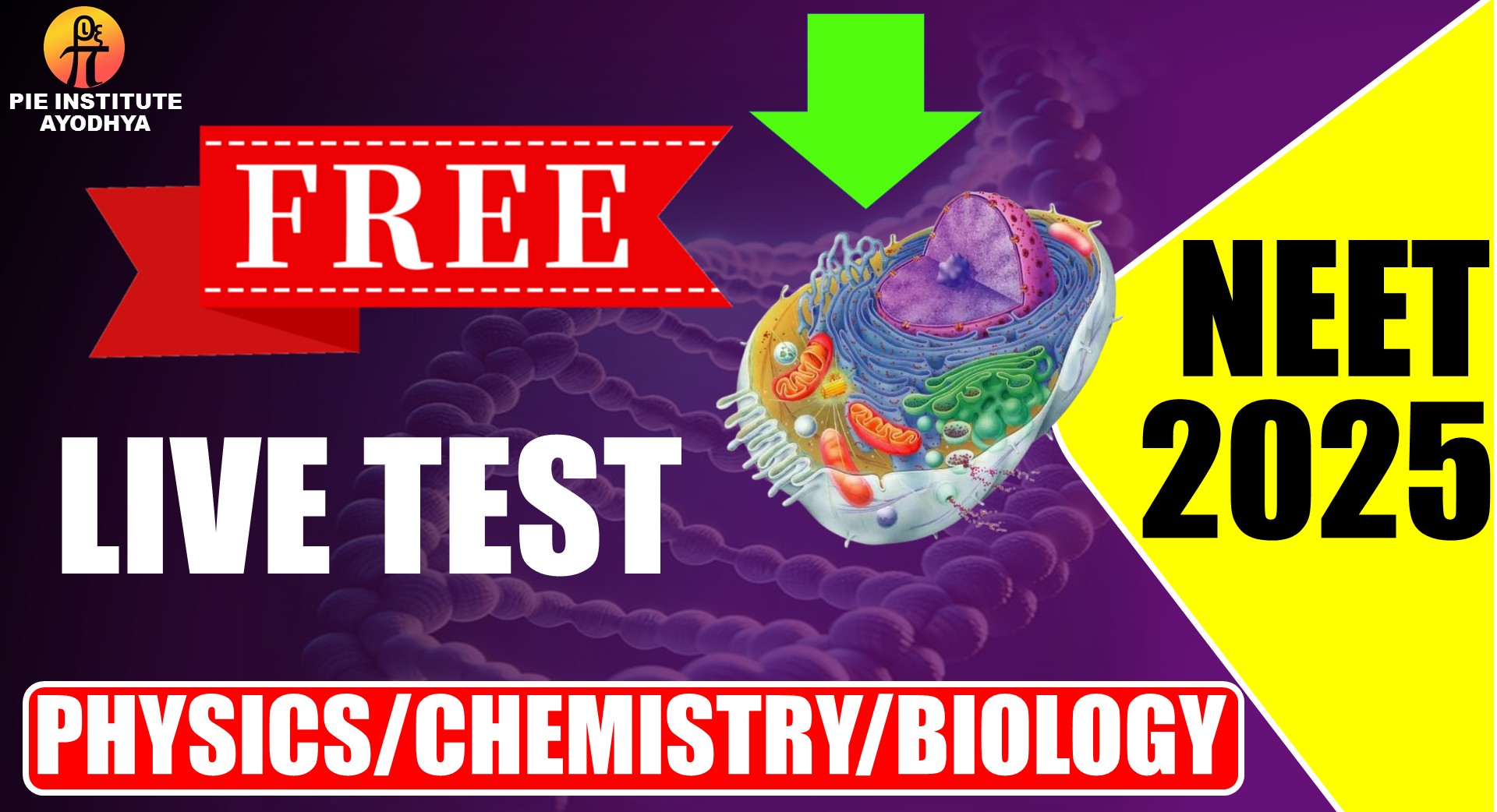 .NEET 2025 DEMO TEST SERIES cover